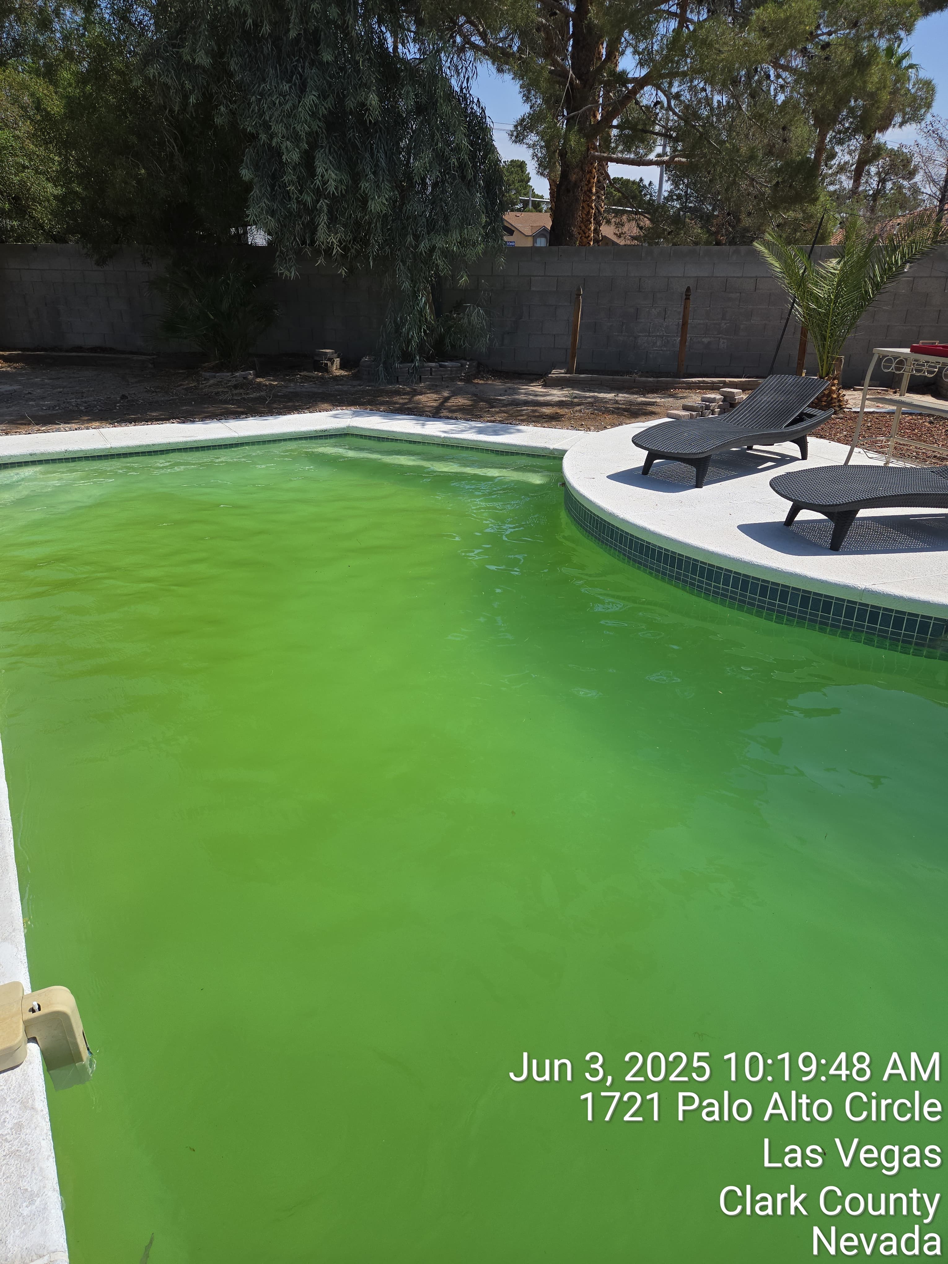Pool before treatment Las Vegas