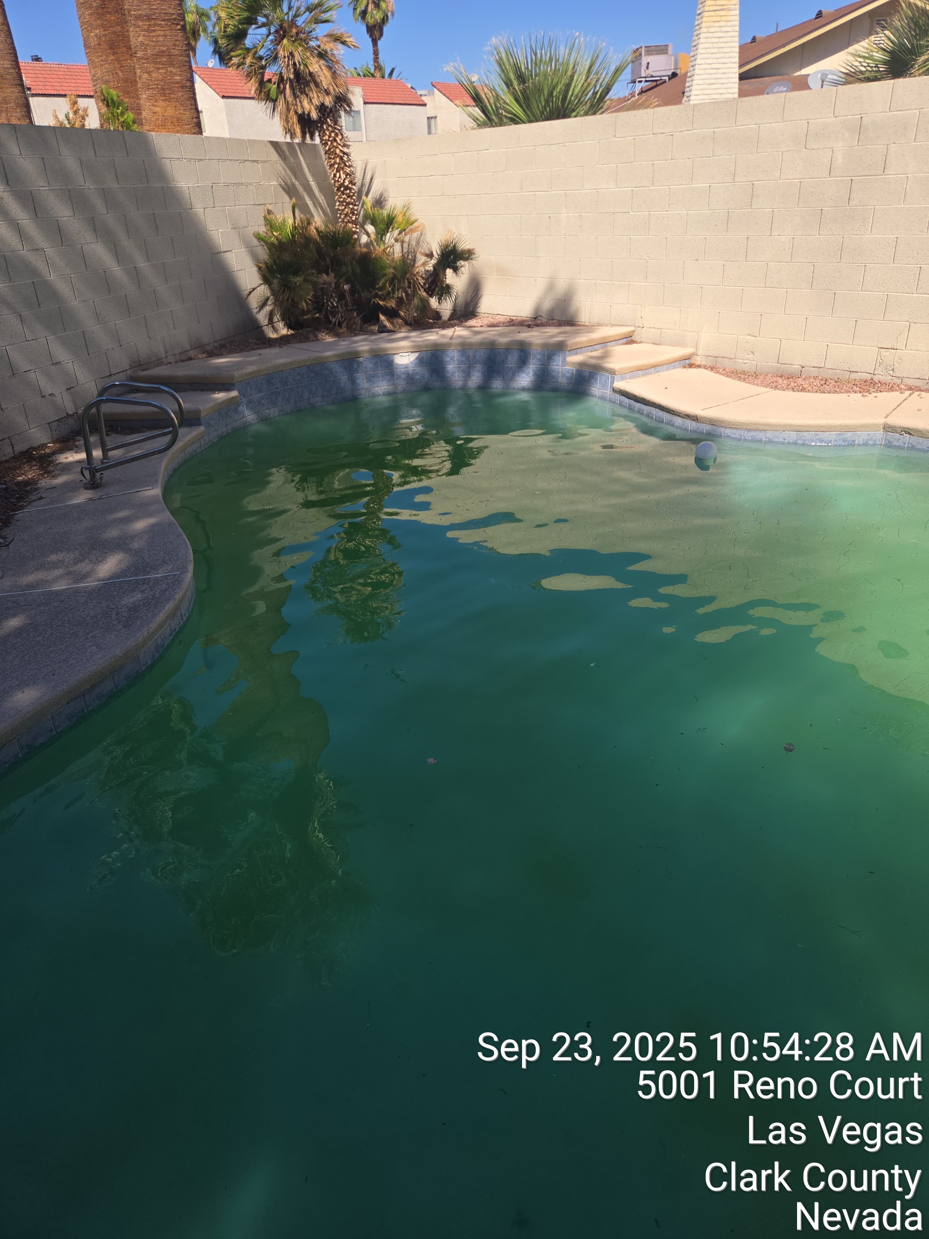 Pool before treatment Las Vegas