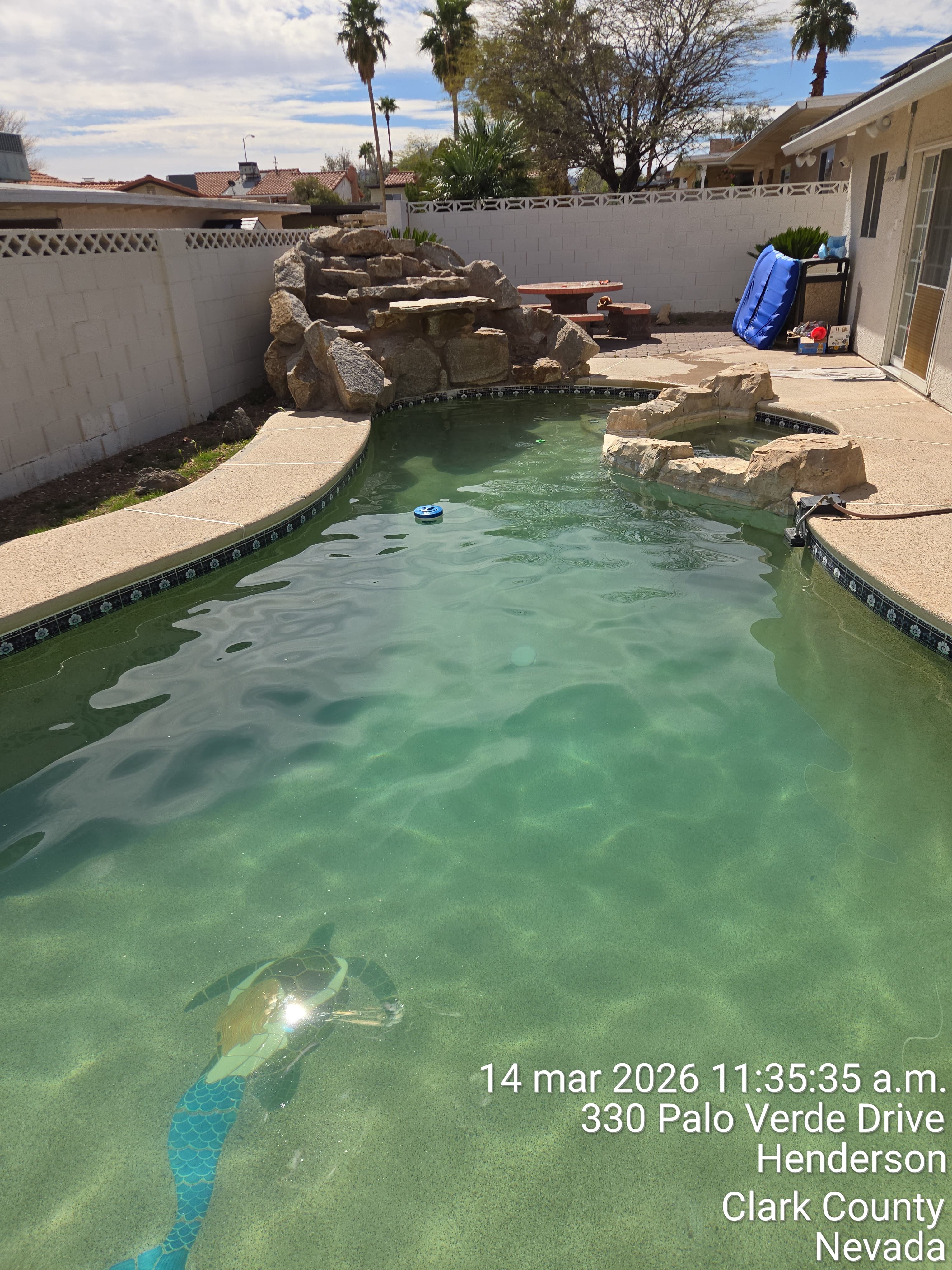 Pool before treatment Las Vegas