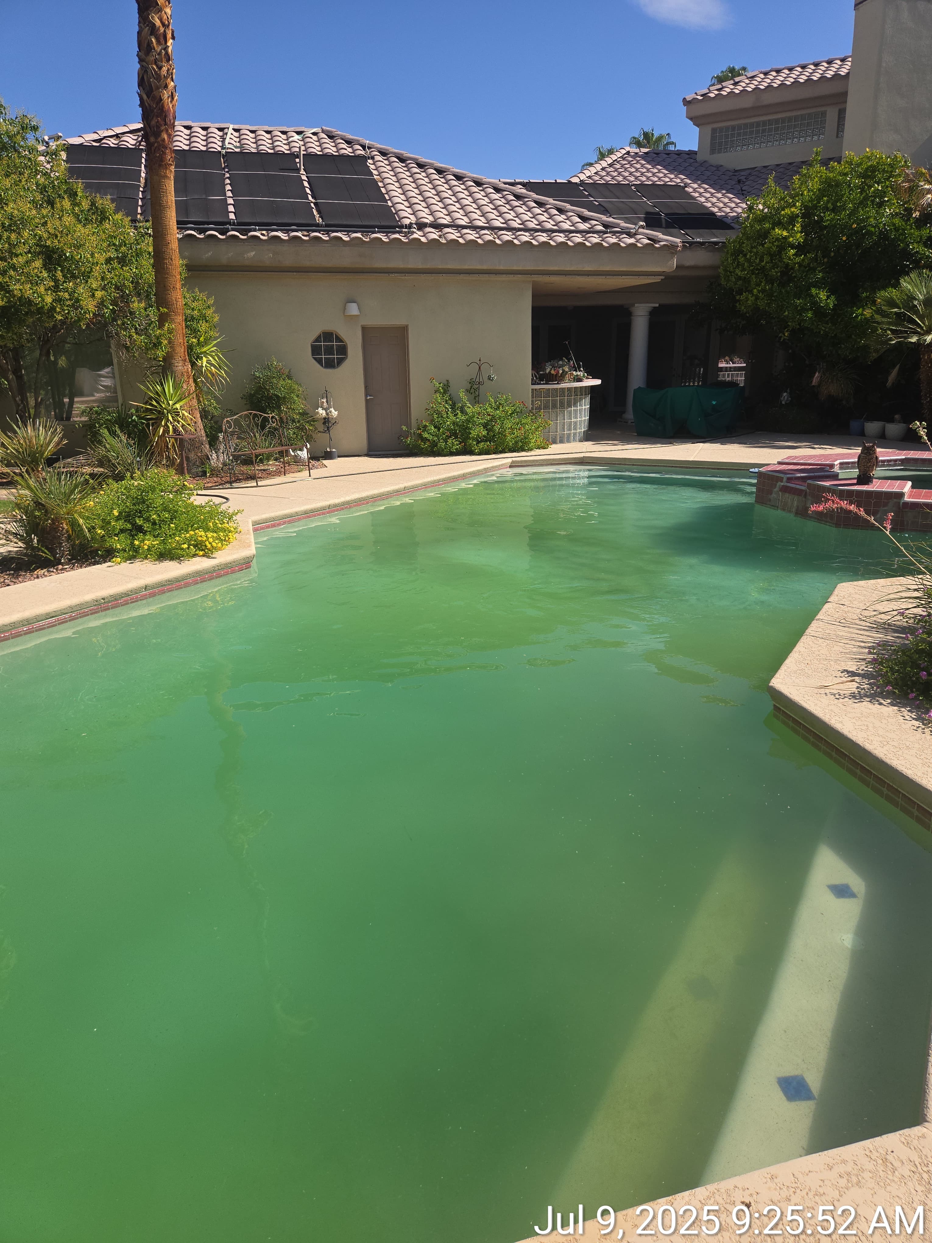 Pool before treatment Las Vegas