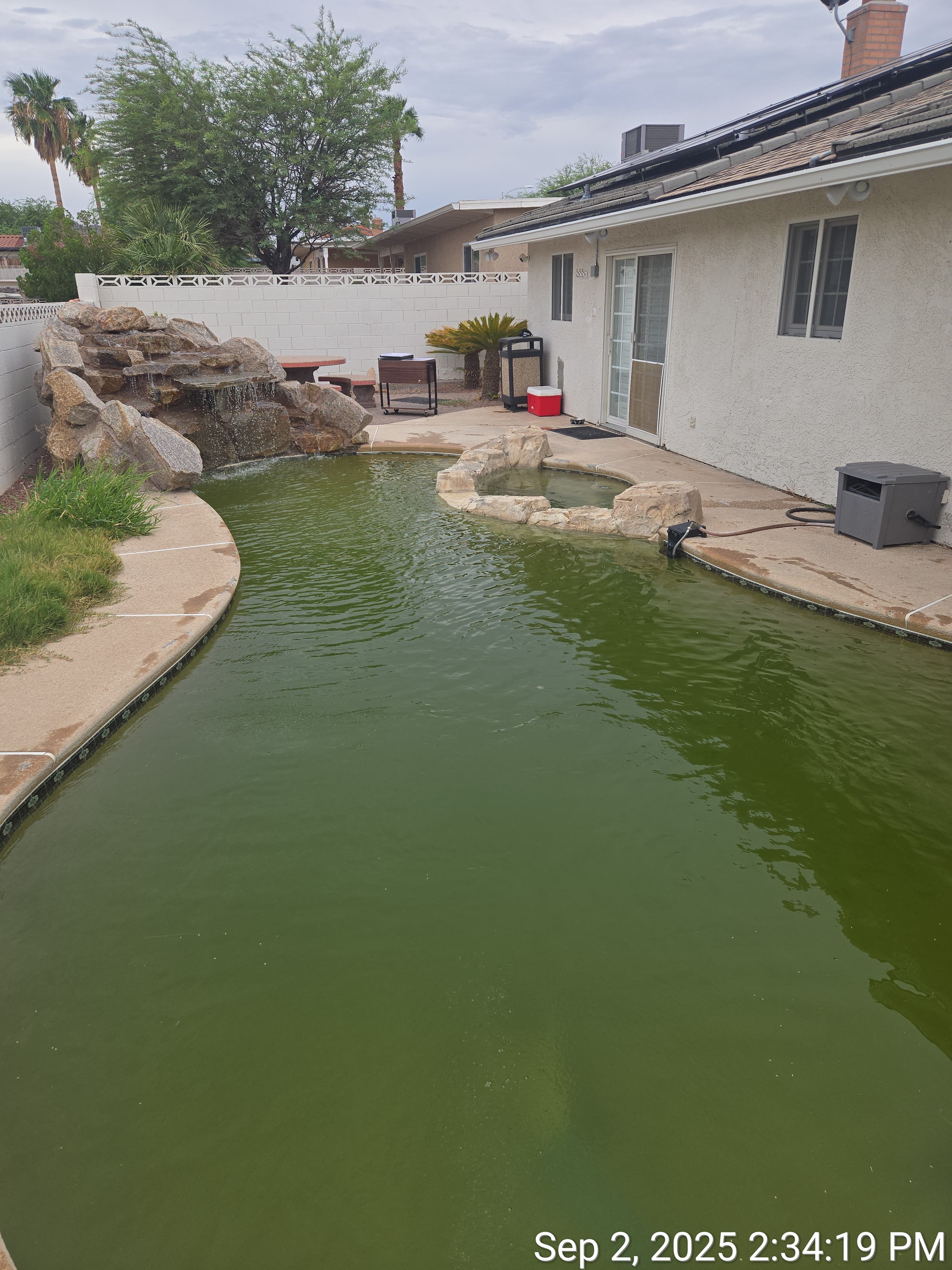 Pool before treatment Las Vegas